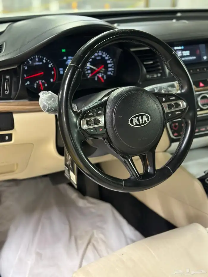 كادينزا 2017 شد بلد 15