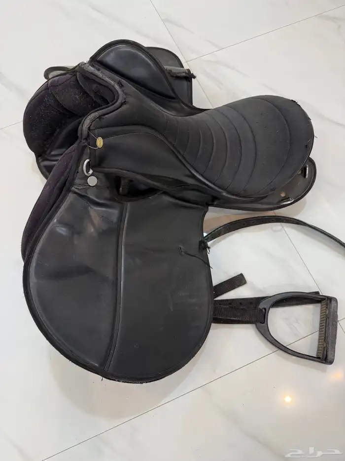 لجام خيل ذهبي وسرج للبيع 2