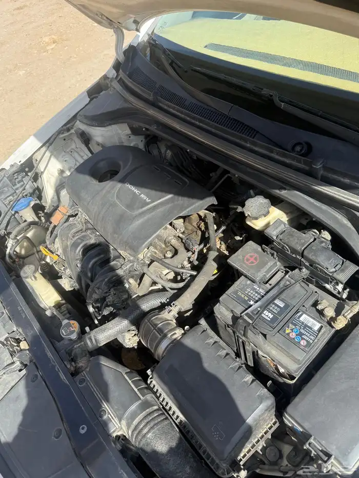 النترا 2017 10