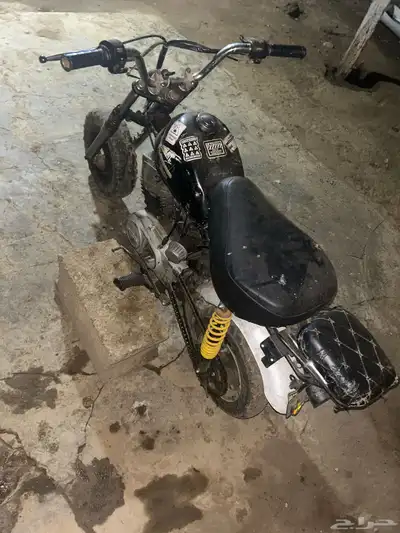 دباب للبيع على السوم جحش index