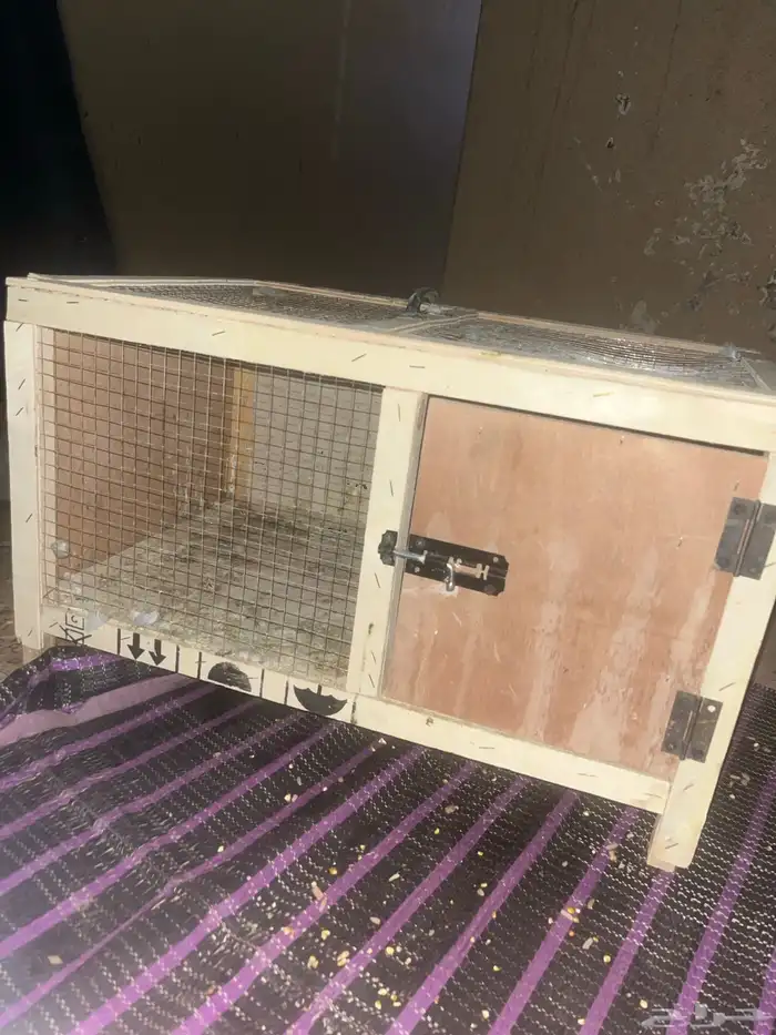 محكر البيع نضيف استخدام أسبوع على السوم 3