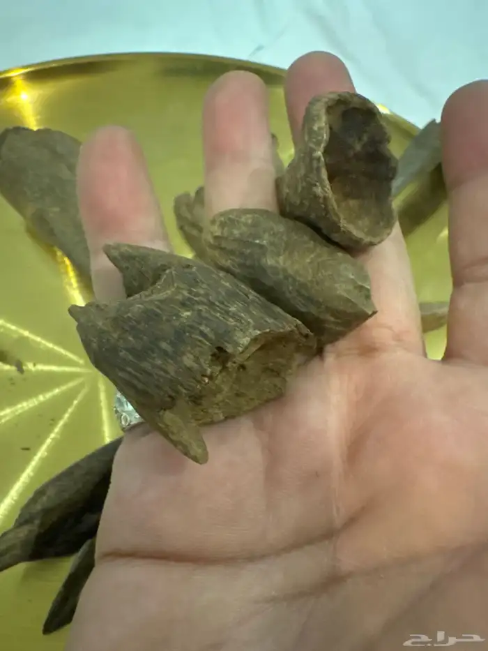 نوادر المروكي الحي 8