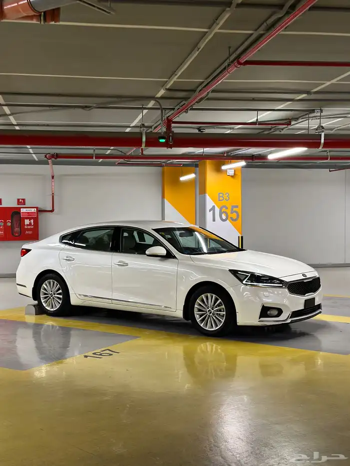 كادينزا 2017 شد بلد 1