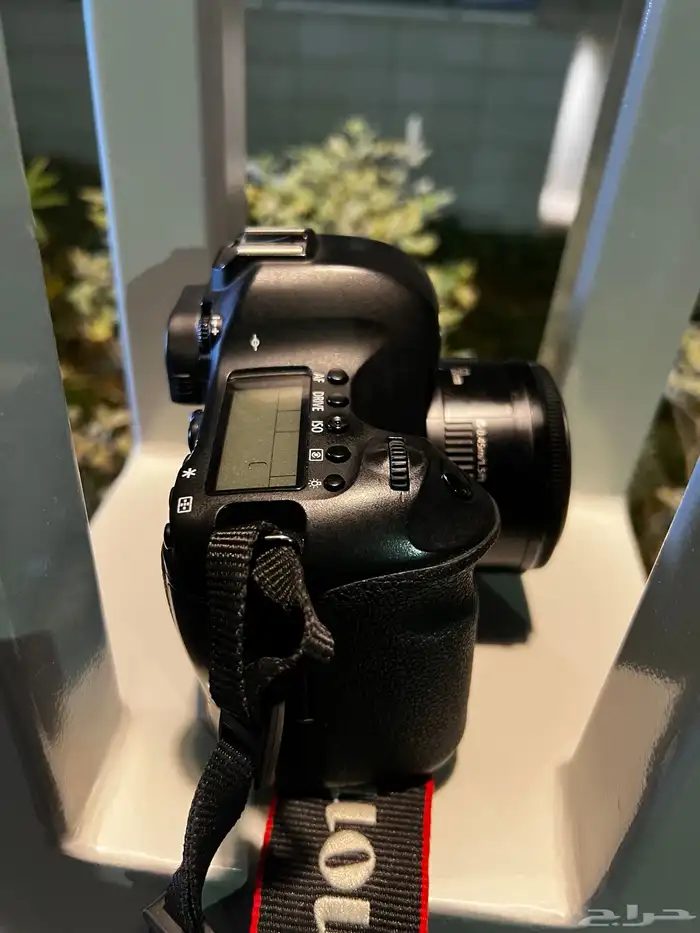 كانون 6d  50mm 5