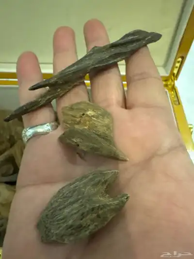 نوادر المروكي الحي index