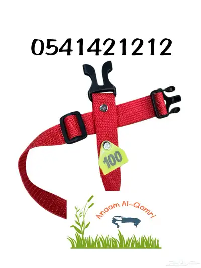 ترقيم اشجار index