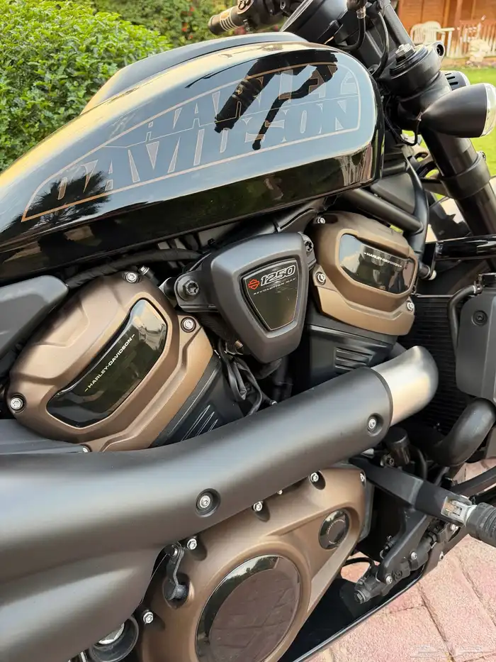 هارلي سبوستر S 2021 3