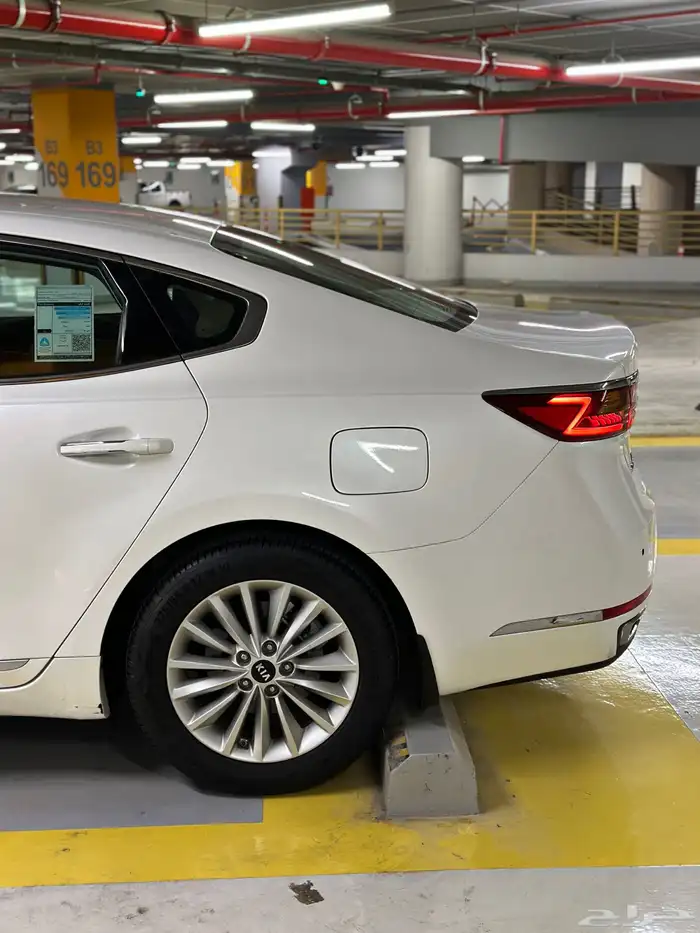 كادينزا 2017 شد بلد 8