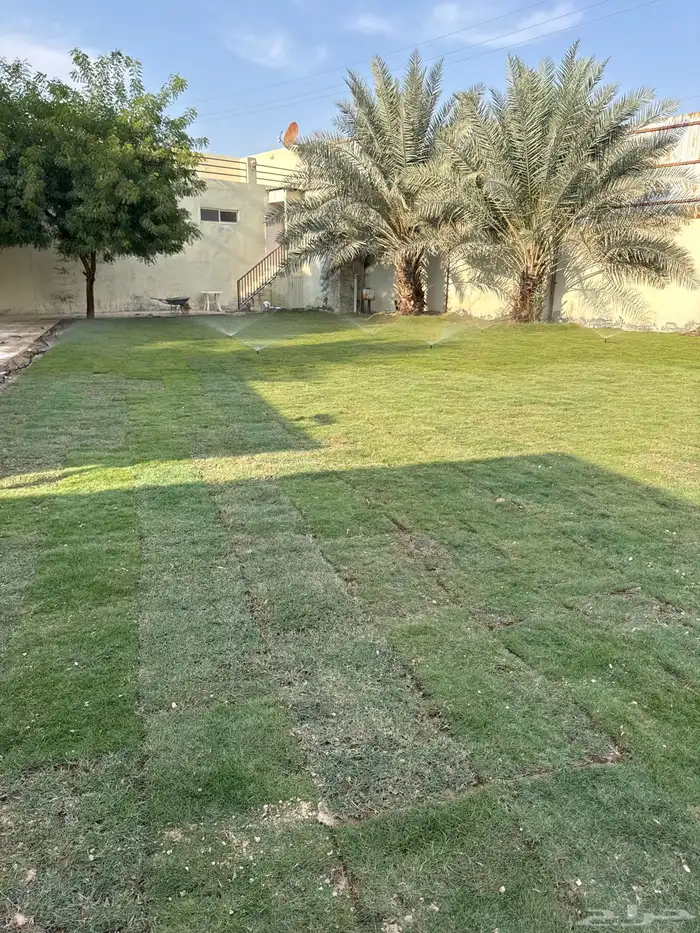 ثيل امريكي 1