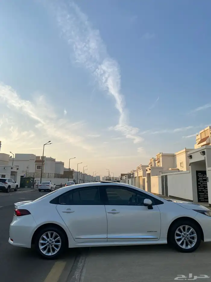 تم البيع تم البيع 8