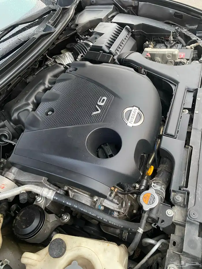 للبيع مكسيما 2014 14