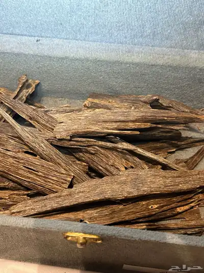 عود هندي ناجلاند فاخر index