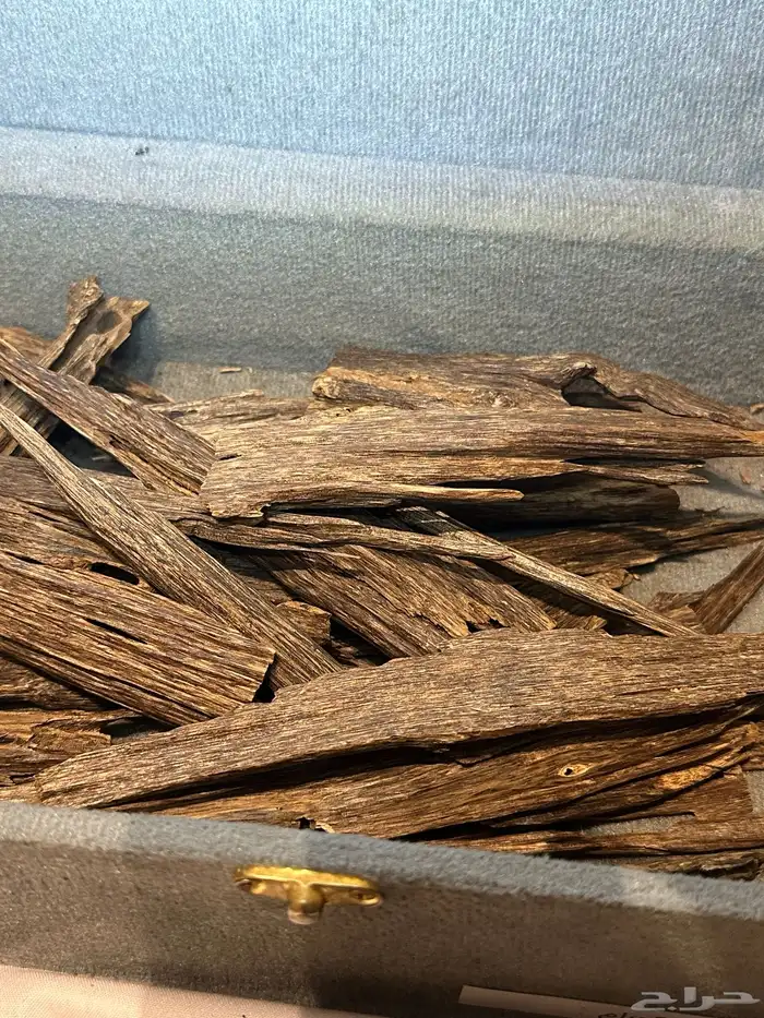 عود هندي ناجلاند فاخر 10