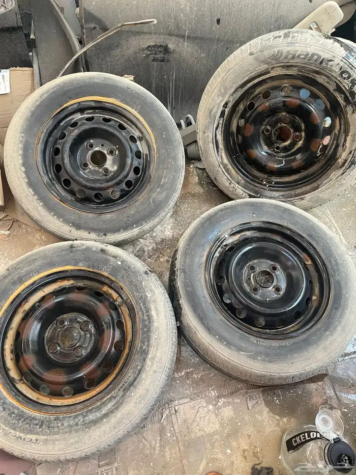 جنوط اكسنت وكالة مع الطيس 1