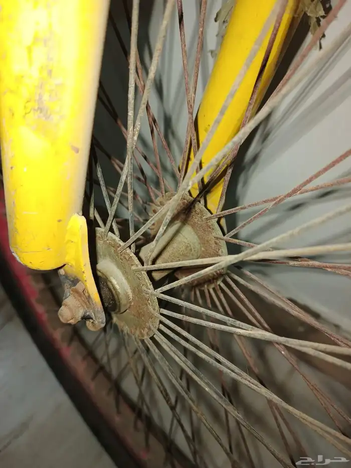 دراجة كوبرا مقاس 26 3