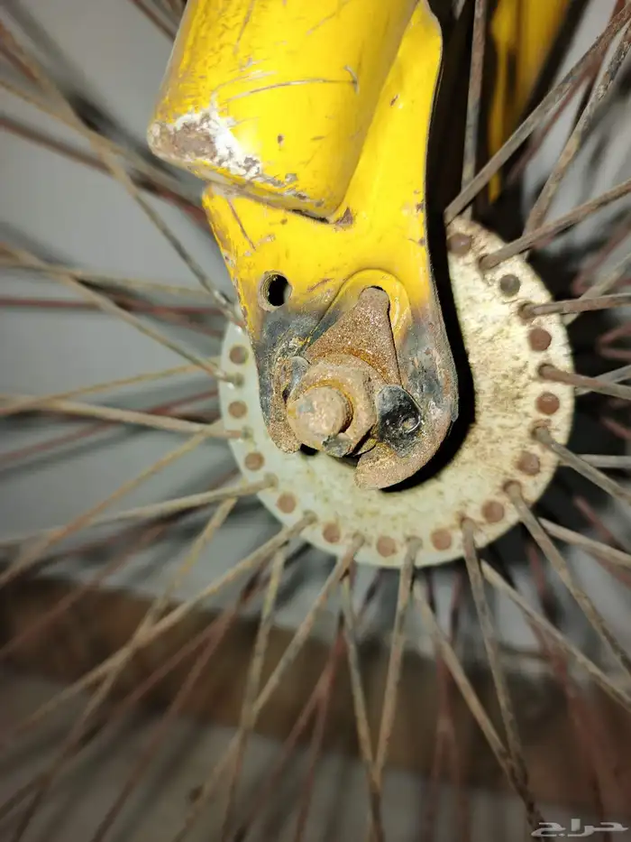 دراجة كوبرا مقاس 26 2