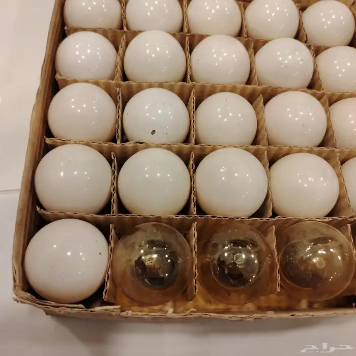 أدوات واجهزه كهربائيه 0