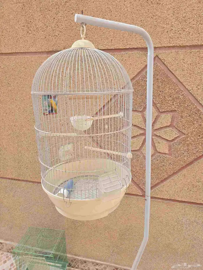 اقفاص طيور للبيع مستعمل فتره بسيطه 2