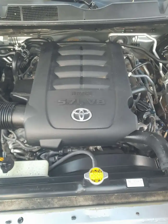 مكينة سكويا 2013 0