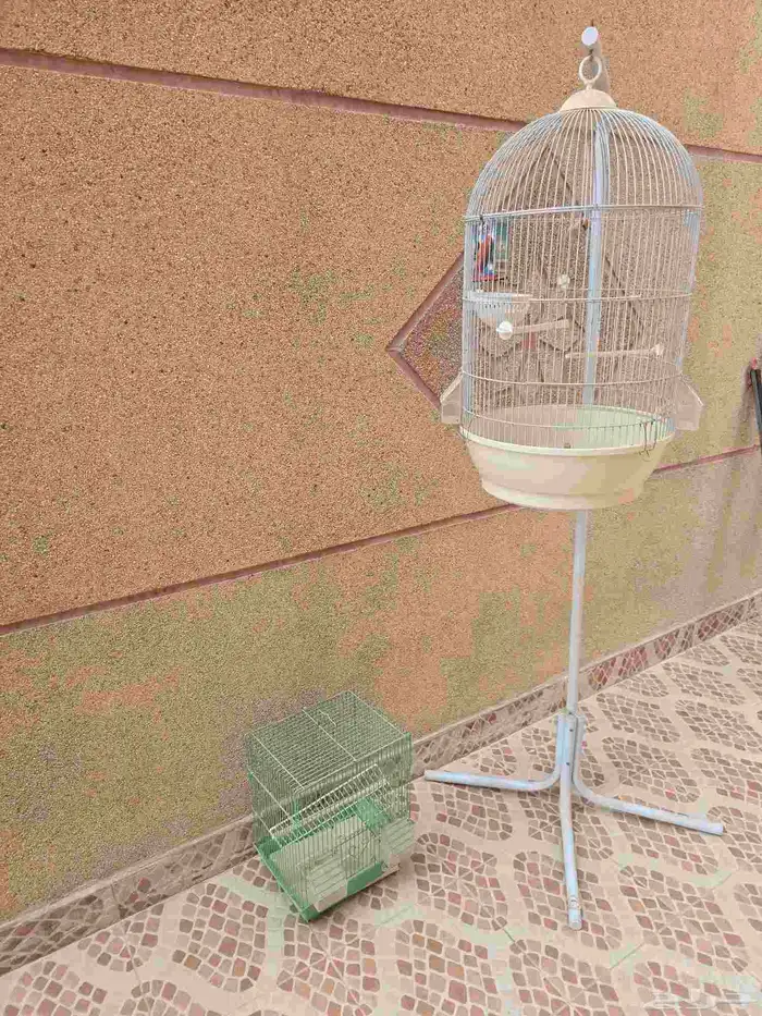 اقفاص طيور للبيع مستعمل فتره بسيطه 1