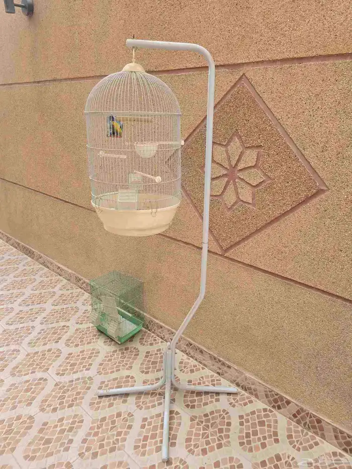 اقفاص طيور للبيع مستعمل فتره بسيطه 0