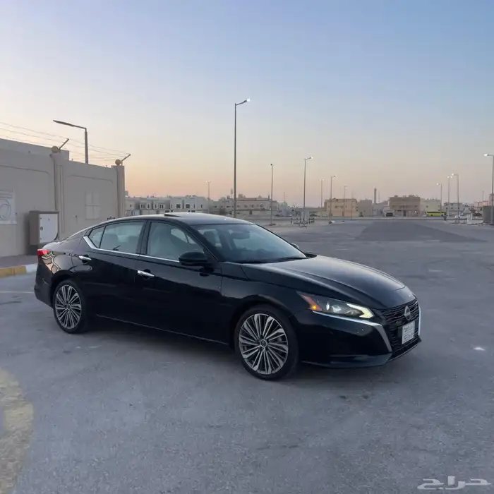 التيما فل الفل 2023 34