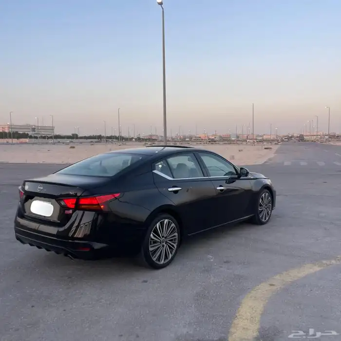 التيما فل الفل 2023 23