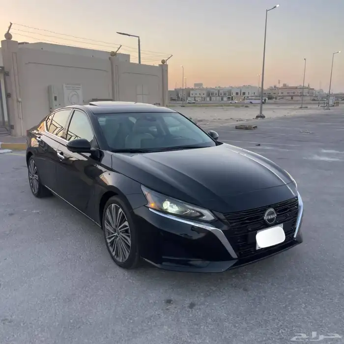 التيما فل الفل 2023 27