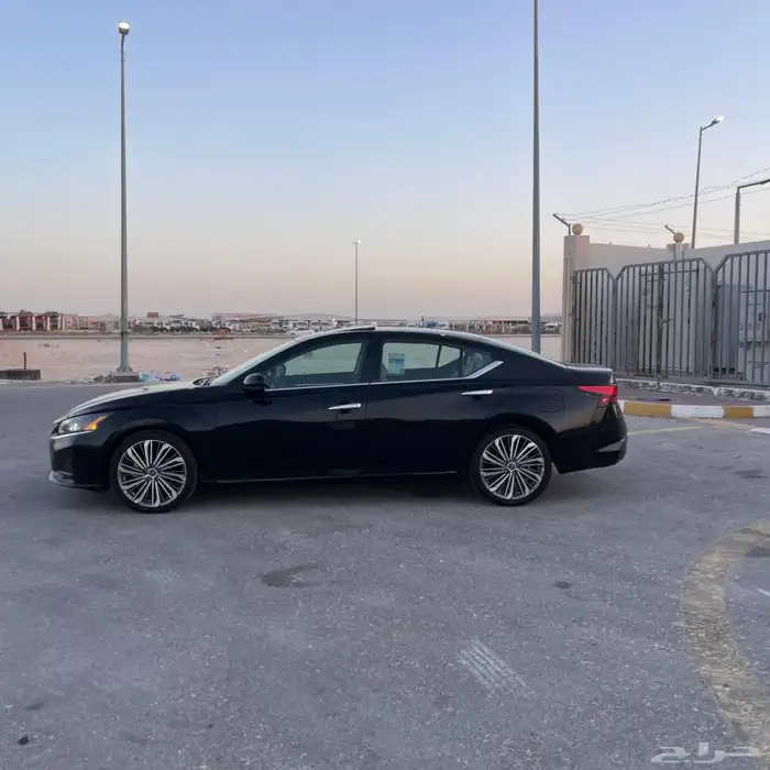 التيما فل الفل 2023 19