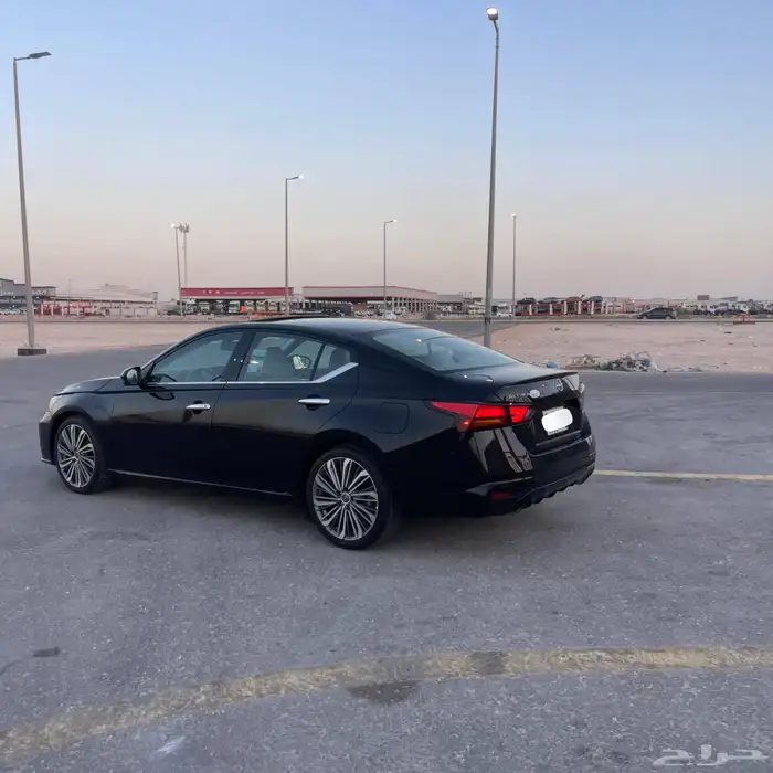 التيما فل الفل 2023 37