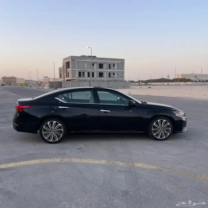 التيما فل الفل 2023 16