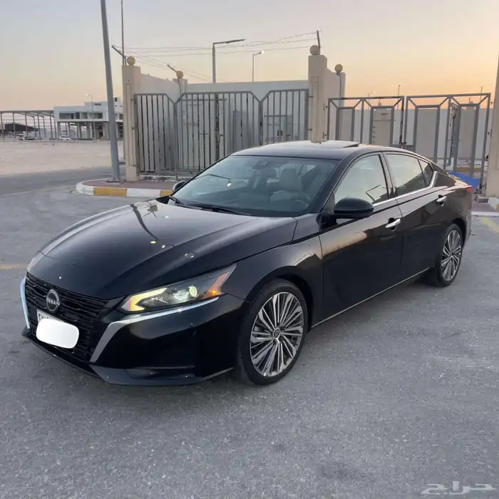 التيما فل الفل 2023 33