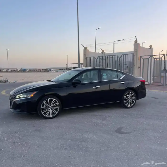 التيما فل الفل 2023 36