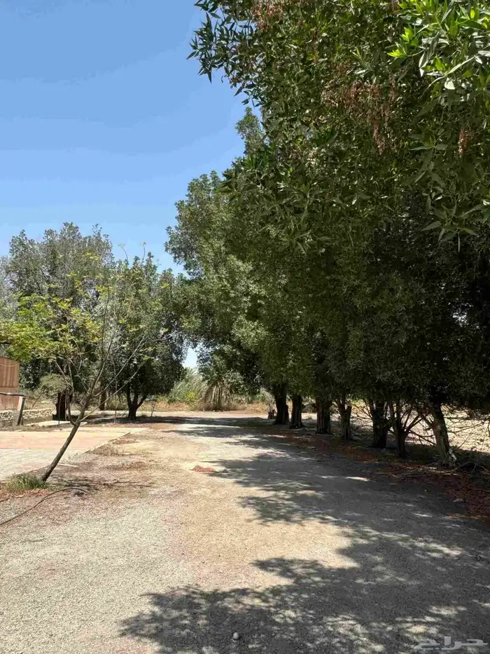 ارض زراعي للبيع 1