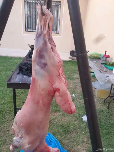 مشويات شوي خارجي معلم مشاوي تجهيز ذبايح index