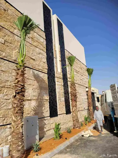 زراعه نخيل واشنطنيا زينه جميع انواع المقاسات index