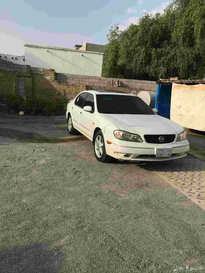 مكسيما 2004 فل كامل قير عادي 6