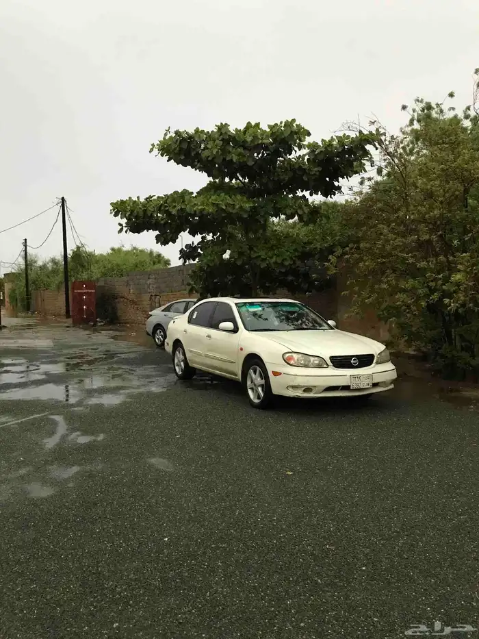 مكسيما 2004 فل كامل قير عادي 4