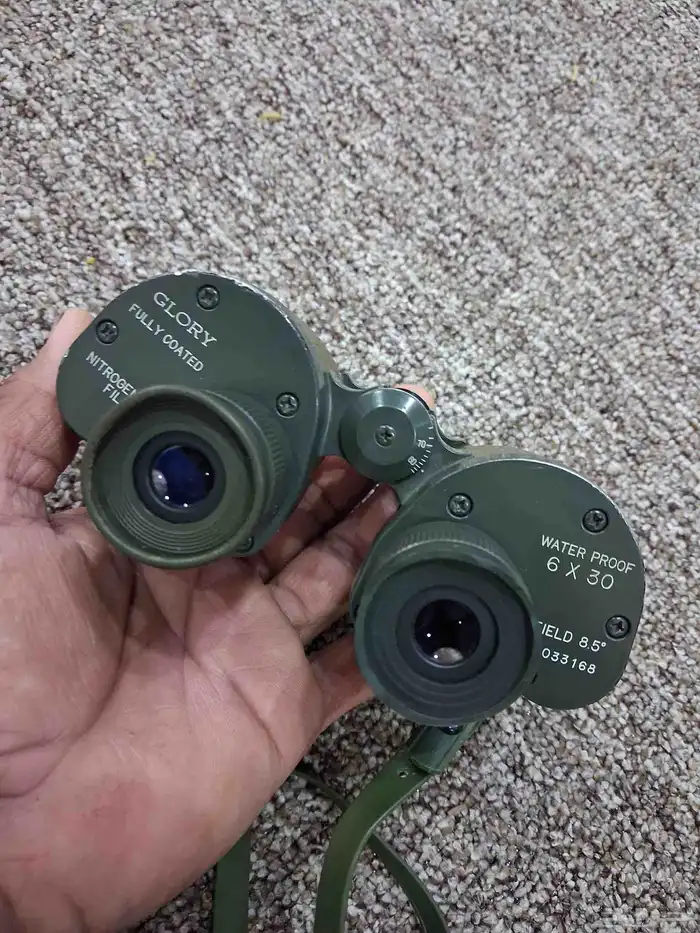 للبيع دربيل جلوري انقليزي على الشرط 1