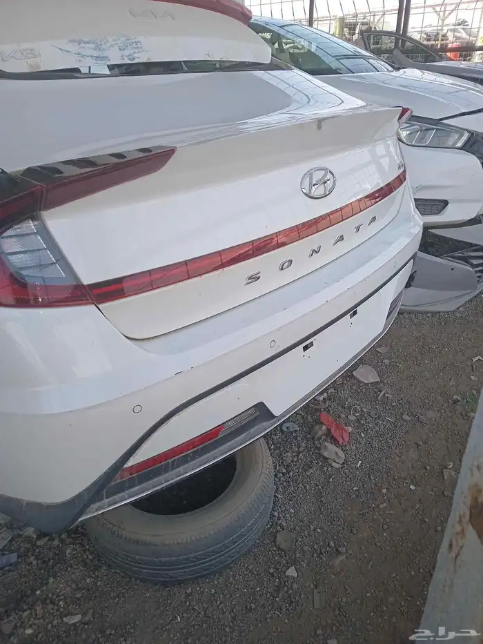 تشليح الحاير السلي 4