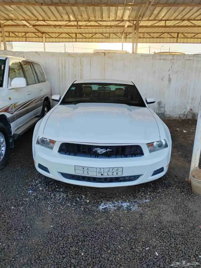 موستنج موديل 2010 9