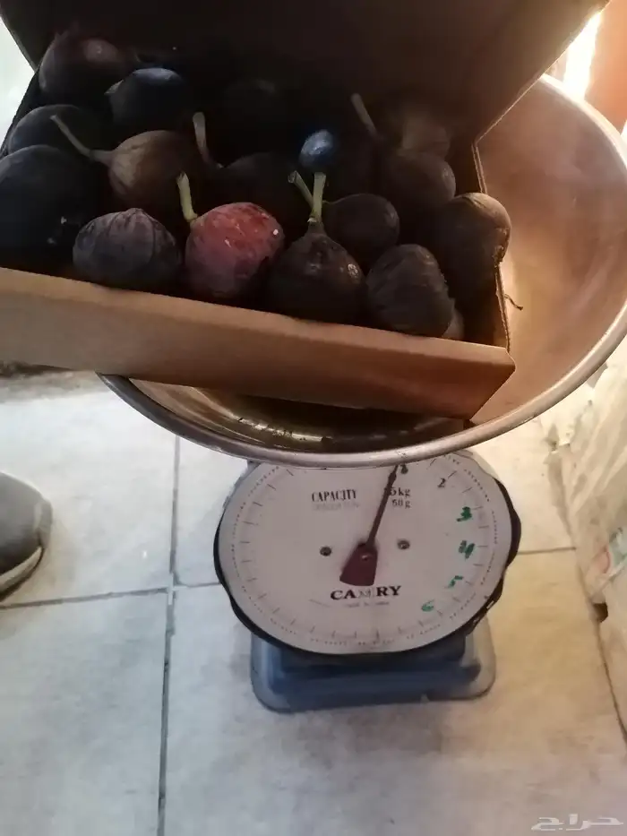 وصل مكه مع توصيل مجاني توت طايفي حامض حلو وحماط سكري 2