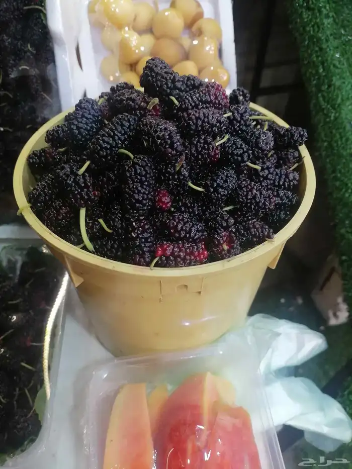 وصل مكه مع توصيل مجاني توت طايفي حامض حلو وحماط سكري 1