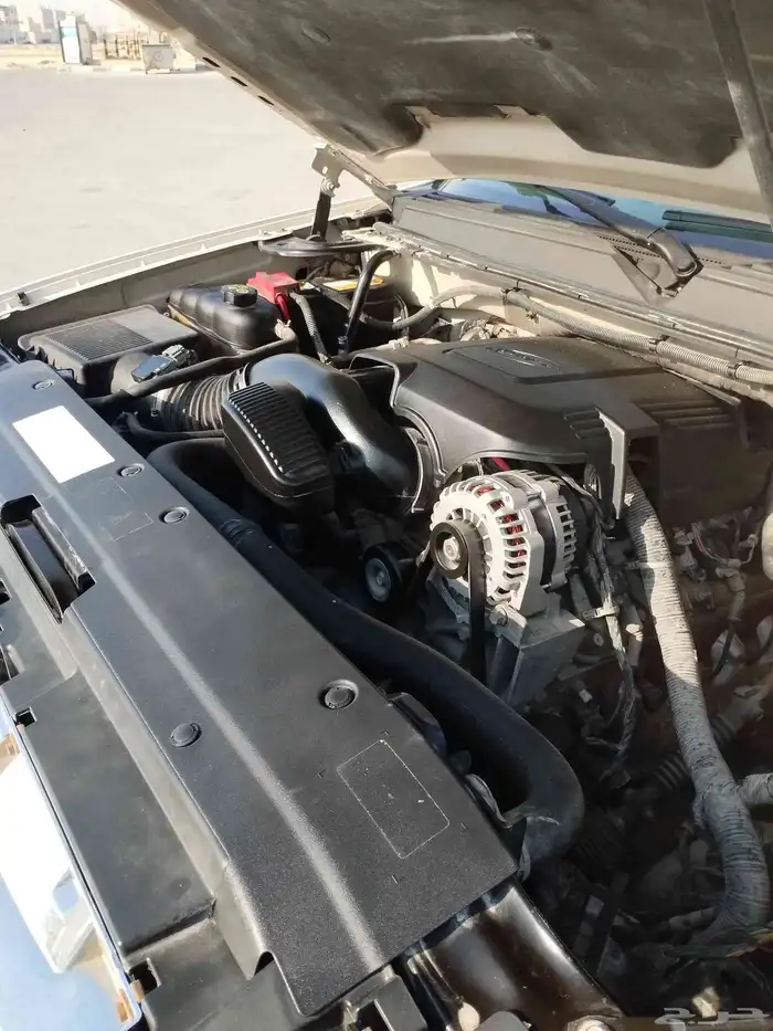 دينالي 2011 16