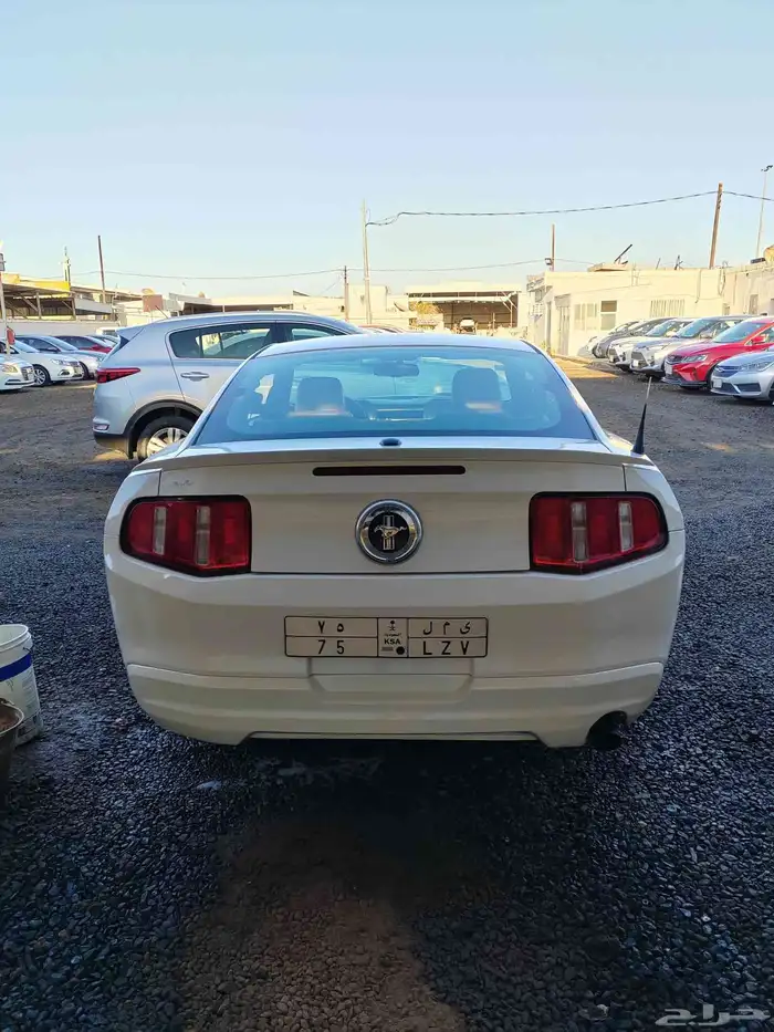 موستنج موديل 2010 5