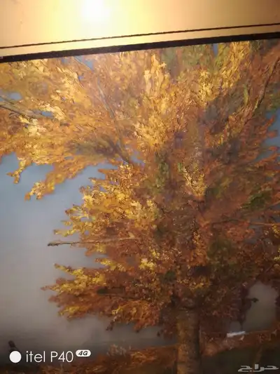 لوحه جداريه index