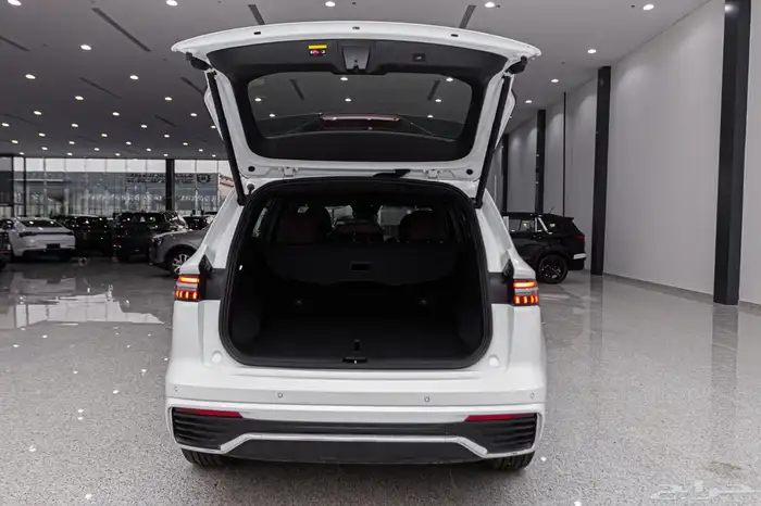 جيلي مونجارو 2024 AWD تيربو ب 93150 شامل الضريبة 9