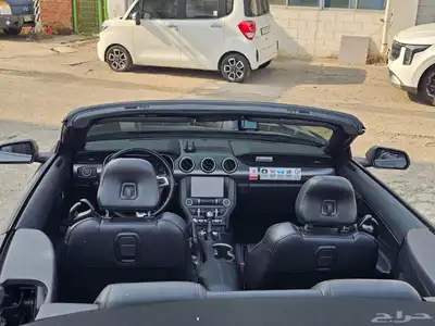 موستنج 2021 كشف index