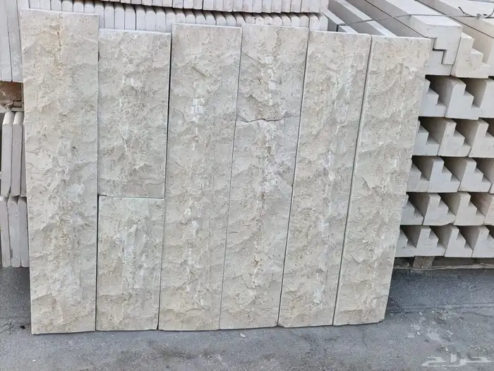 حجر وجه الجبل ونساح الرياض ابيض 2