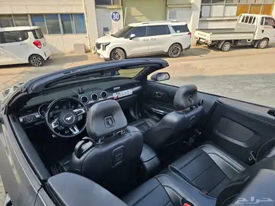 موستنج 2021 كشف index